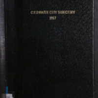 Coldwater_City_Directory_1917.pdf