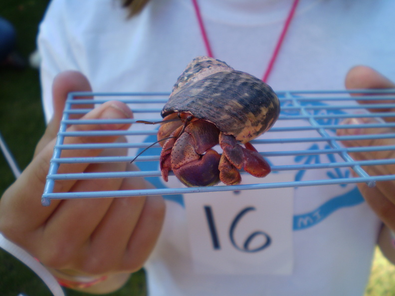Pet Parade 2012 007