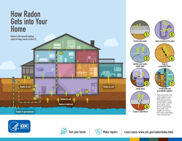 Infographic of how radon enters your home
