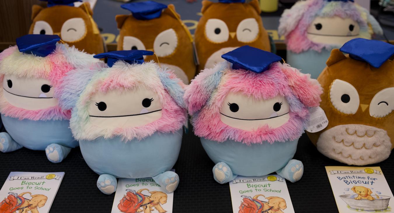 stuffed animals lined up and sitting on a table with special books for gifts